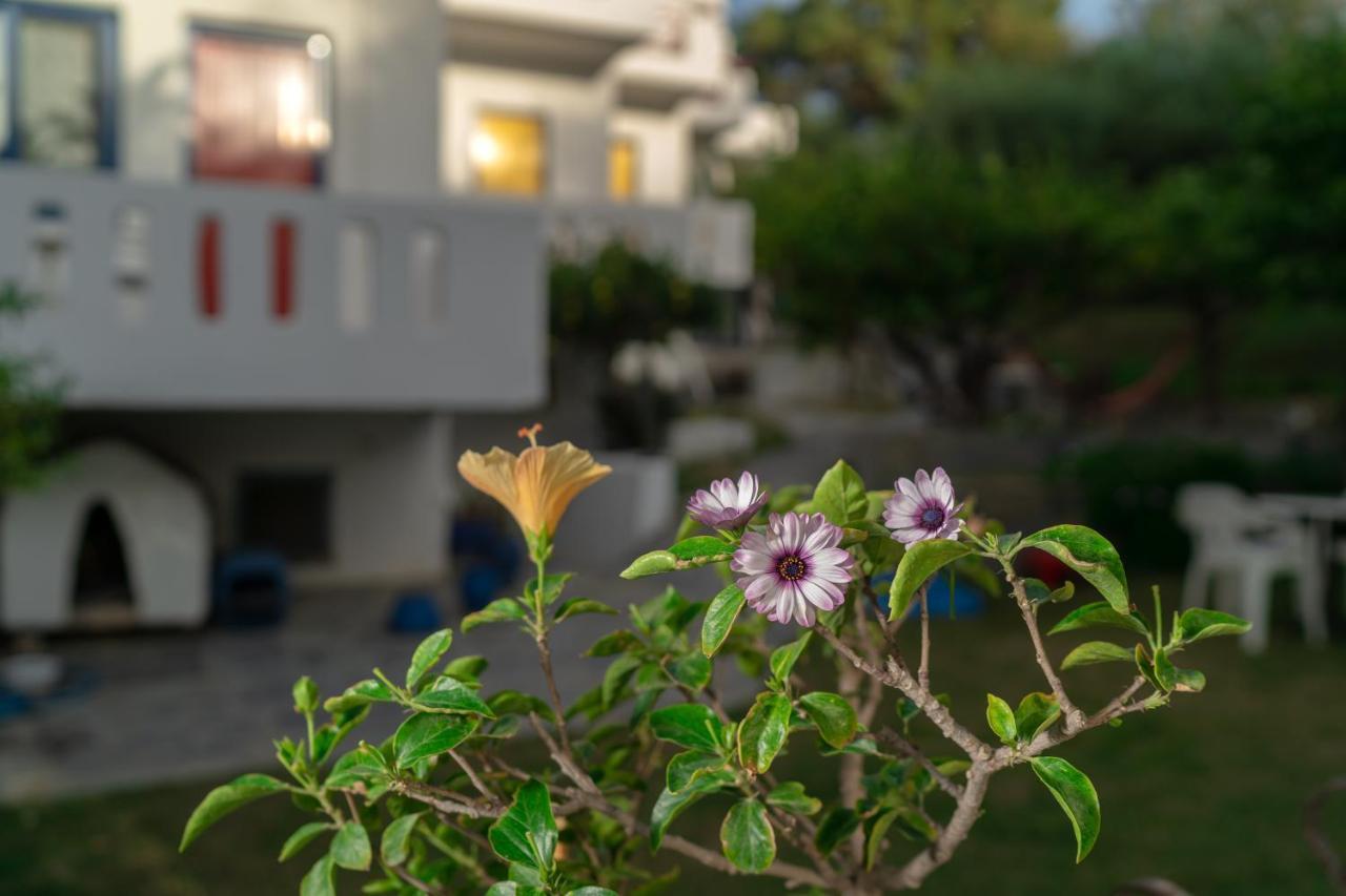 Plakias Bay Hotel Exterior photo